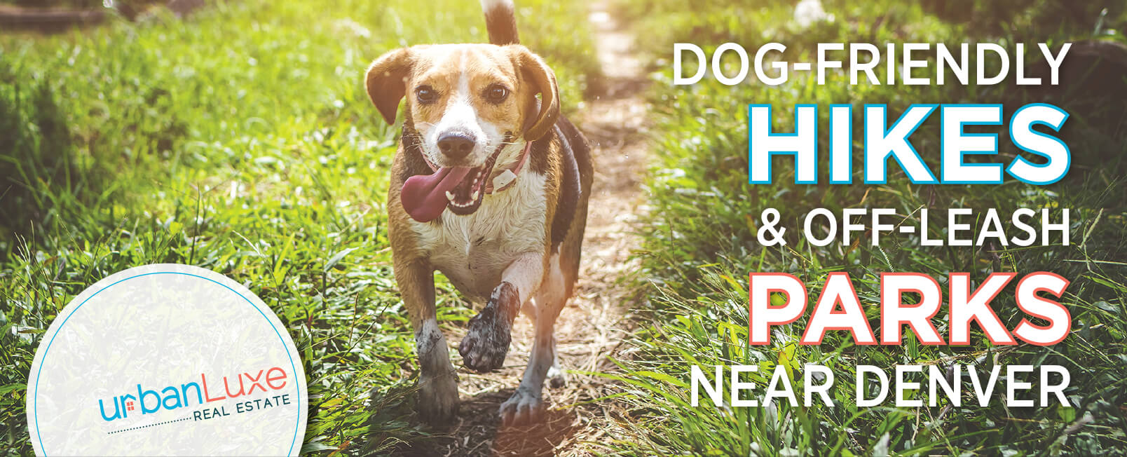 Dog-Friendly Hikes & Off-Leash Parks Near Denver - Urban ...